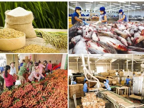 Đảm bảo nền tảng vững chắc cho xuất khẩu nông, lâm, thủy sản