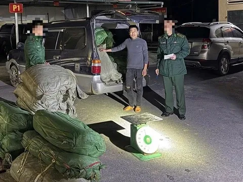 Cao Bằng: Bắt quả tang đối tượng buôn lậu 360kg nguyên liệu thuốc lá