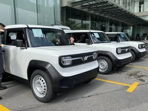 VinFast bàn giao hơn 12.500 ô tô điện trong tháng 2/2025 tại Việt Nam