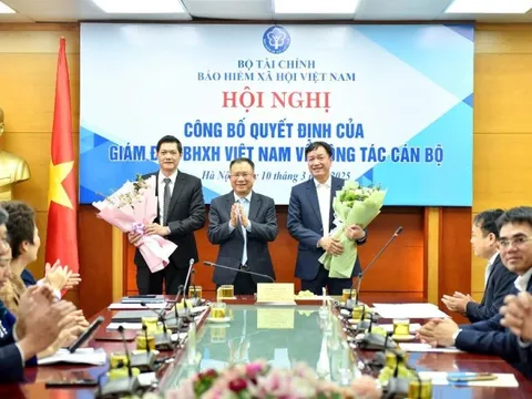 Bảo hiểm xã hội Khu vực 1 có 1 Giám đốc và 5 Phó Giám đốc