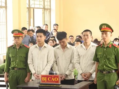 Án chung thân cho nam thanh niên sát hại người lạ trong cơn phê ma túy