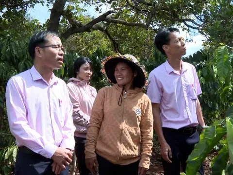 Gia Lai: Vùng biên giới Đức Cơ giảm nghèo từ vốn tín dụng chính sách