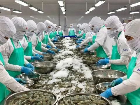Phát triển nông sản song phương Việt - Mỹ: Nhiều tín hiệu khả quan