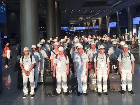 Những ai bắt buộc phải tham gia BHXH khi làm việc ở nước ngoài?