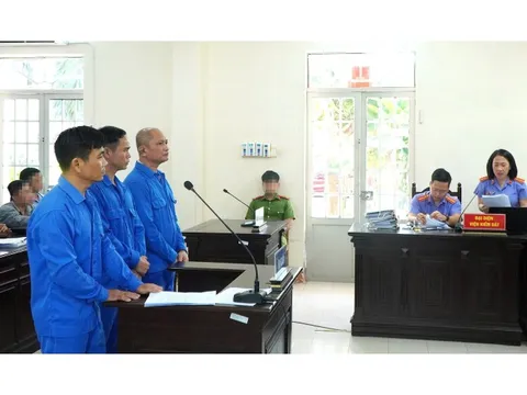 7 năm tù cho giám đốc cầm đầu đường dây pha chế xăng giả