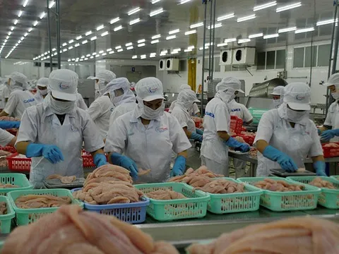 Xuất khẩu thủy sản sang Hoa Kỳ: Cơ hội và thách thức trong bối cảnh mới