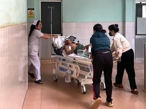Đi chăn trâu, cụ ông 77 tuổi bị trâu húc phải nhập viện