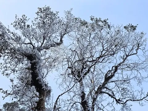 "Lạ thường" giữa tháng 3, nơi này ở Miền Bắc bất ngờ băng tuyết phủ kín