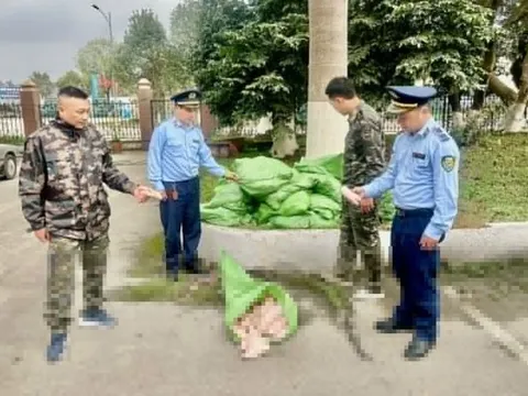 Lạng Sơn: Ngăn chặn nửa tấn móng giò chảy nước, đổi màu nhập lậu