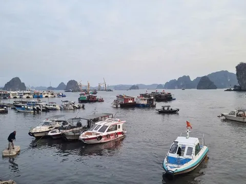 Tour khám phá Bái Tử Long đi vào hoạt động