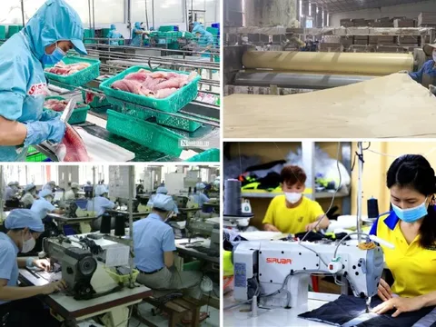 Thông điệp của Tổng Bí Thư về phát triển kinh tế tư nhân: Tư duy và tầm nhìn chiến lược