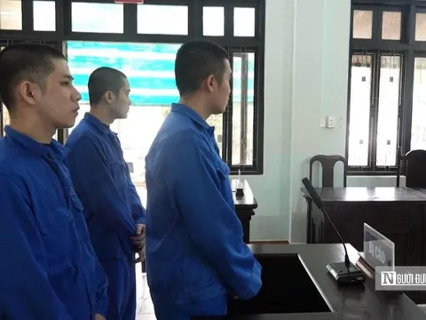 Rủ nhau mua bán ma tuý, 3 bạn tù tiếp tục lĩnh án