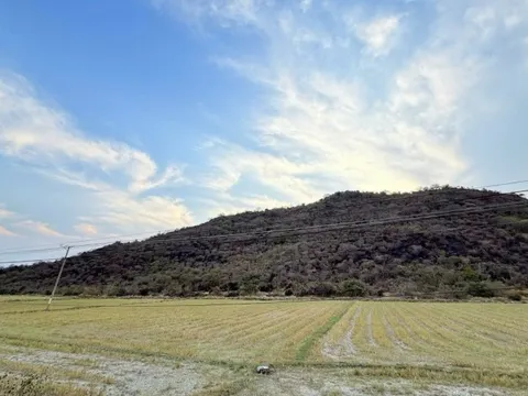 Bình Thuận thông tin về vụ cháy lớn trên đồi Bằng Lăng gần núi Tàu