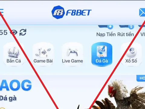 Sự thật phía sau ma trận cờ bạc online - Kỳ 3: Trải nghiệm đá gà trực tuyến, từ miễn phí đến trắng tay trong "phút mốt"
