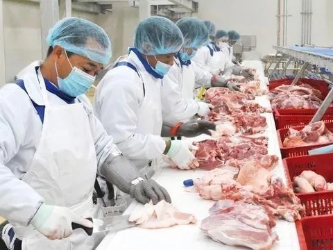 Biến động nhân sự thượng tầng tại BAF Việt Nam