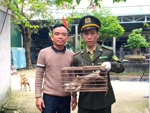 Thấy con vật có hình thù kỳ lạ trong vườn, người đàn ông có hành động bất ngờ