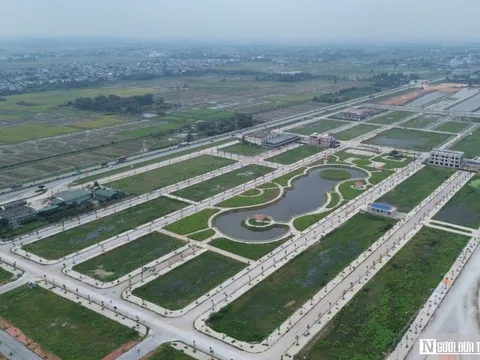 Thanh Hóa: "Chạy đua" đấu giá bán đất trước khi bỏ cấp huyện