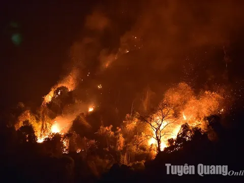 Tuyên Quang: Đã khống chế được cháy rừng tại núi Nghiêm