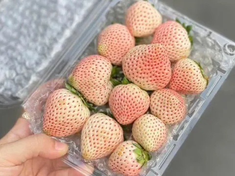 Loại quả đắt đỏ từng có giá tiền triệu nay bán giá rẻ "giật mình"