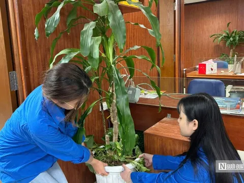 Tuổi trẻ Tạp chí Đời sống và Pháp luật hưởng ứng "Ngày chủ nhật xanh"