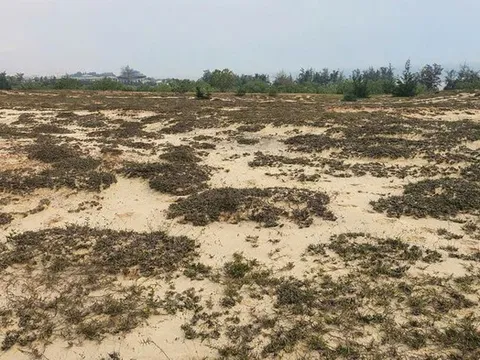 Nguyên nhân dự án có mức đầu tư 150 tỷ đồng bị UBND tỉnh Quảng Bình thu hồi