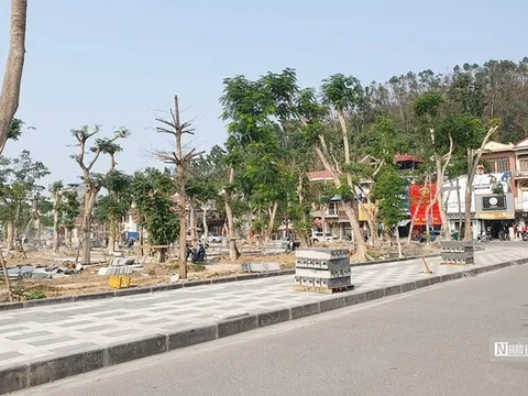 Dự án vườn hoa 80 tỷ ở Hải Phòng vướng mắc giải phóng mặt bằng