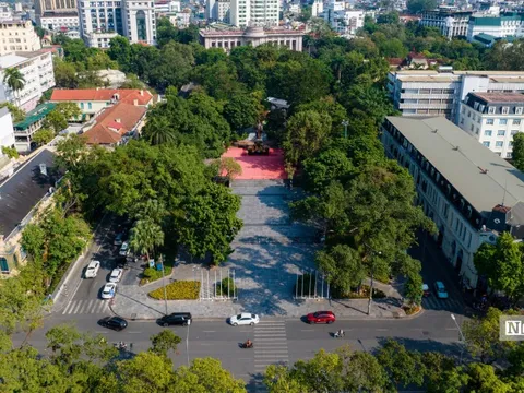 Hà Nội: "Số phận" hàng cây xanh ở vườn hoa Lý Thái Tổ