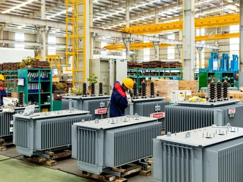Thực hành ESG tại GELEX: Từ cam kết đến hành động thực chất