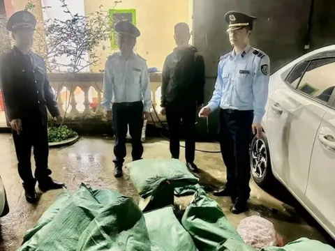 Lạng Sơn: Tạm giữ 1,3 tấn chân gà không rõ nguồn gốc