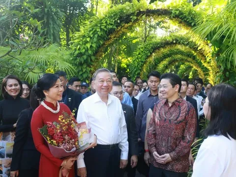 Singapore có loài hoa lan mang tên “Papilionanda Tô Lâm Linh Ly“
