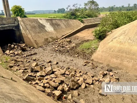 Hạn hán khốc liệt ở Tây Nguyên: Nông dân chật vật giữ nước cho mùa màng