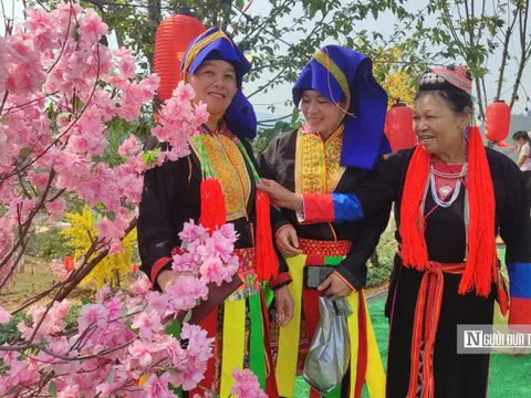 Kỳ vọng mới từ Lễ hội hoa anh đào Kỳ Thượng