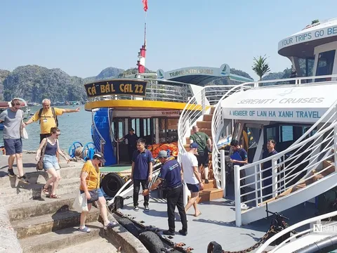 Du lịch Cát Bà đón hơn 490.000 lượt du khách trong quý I/2025