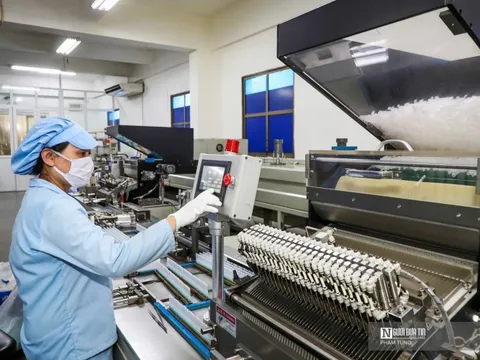 Rút ngắn thủ tục, tạo điều kiện cho doanh nghiệp sớm đưa hàng hóa ra thị trường