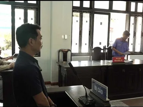 Phó Giám đốc làm giả tài liệu để đấu thầu qua mạng lĩnh án