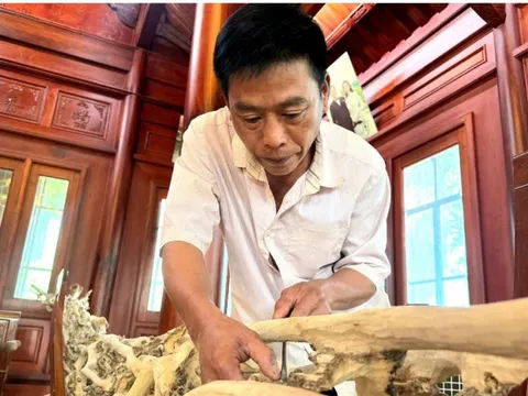 Nguy cơ mất thương hiệu Trầm hương Phúc Trạch