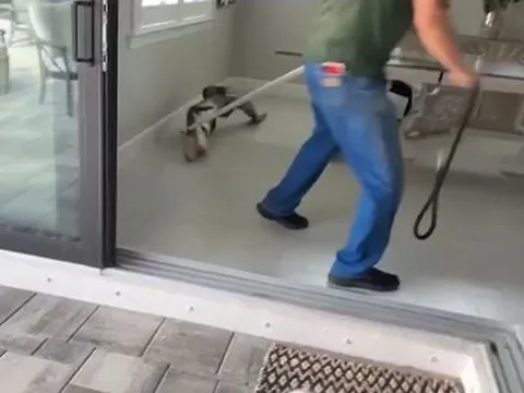 Vừa ngủ dậy, người đàn ông tái mặt khi phát hiện "thứ đáng sợ" trong bếp