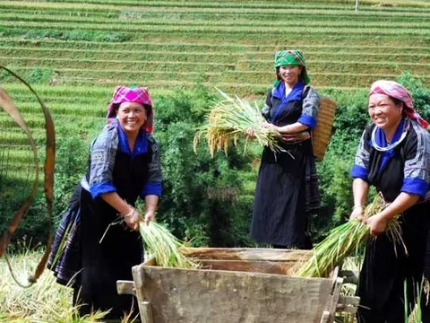 Kiểm toán đồng hành đẩy nhanh tiến độ giảm nghèo bền vững