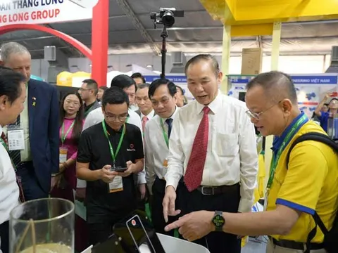 Chiến lược “Xanh hóa vùng nuôi” – Tiếp đà cho ngành tôm bứt phá trong năm 2025