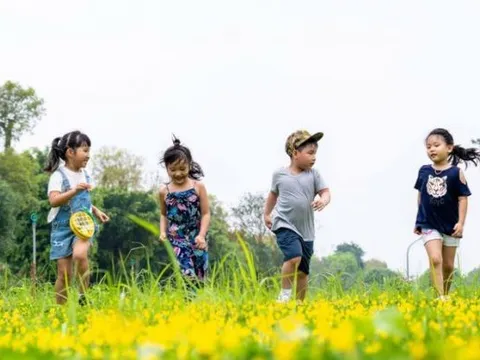 Đảng viên sinh con thứ 3 không bị kỷ luật