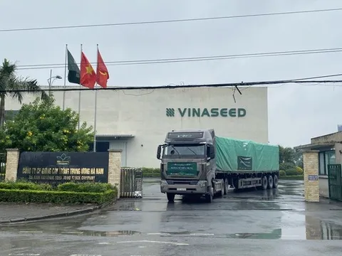 Tham vọng "lập đỉnh" lợi nhuận của Vinaseed