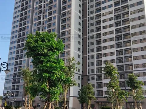 Nhiều tòa nhà cao tầng tại Hà Tĩnh rung lắc