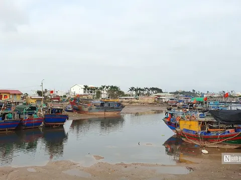 Hải Phòng quyết liệt chống vi phạm khai thác IUU