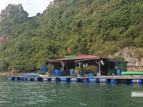 Hơn 190 tỷ đồng hoàn thiện hạ tầng Vườn quốc gia Cát Bà
