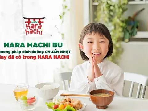 Hara Hachi - Nền tảng vững chắc cho sự phát triển toàn diện của trẻ