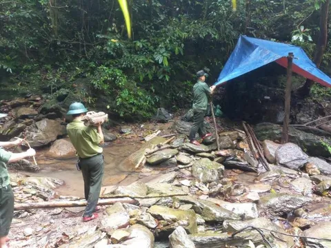 Huế: Kiểm lâm bị nợ 3 tháng lương, thành phố chỉ đạo rà soát xử lý