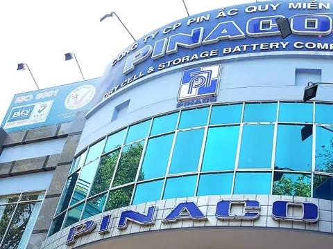 Pinaco bị xử phạt và truy thu thuế hơn 2,2 tỷ đồng