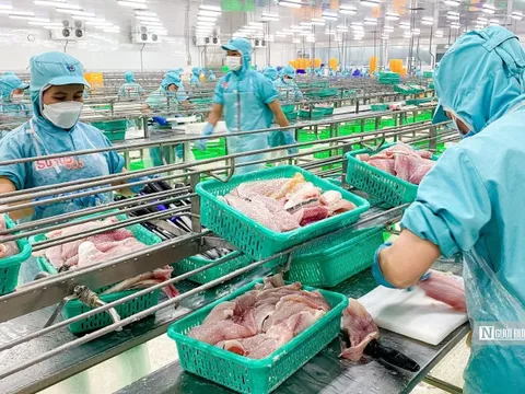 Bộ Nông nghiệp và Môi trường đặt mục tiêu 90% thủ tục được thực hiện trực tuyến