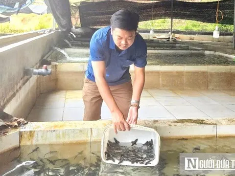 Nuôi "thủy quái" trên đỉnh núi, người đàn ông thu hàng chục tỷ mỗi năm