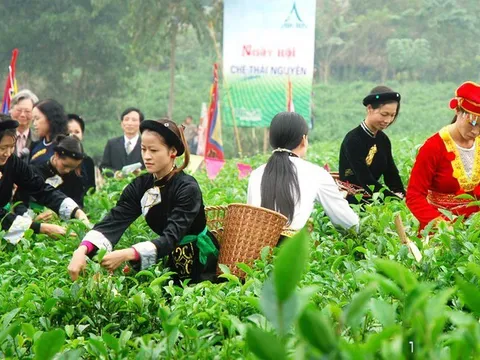 Du lịch Thái Nguyên: Tiềm năng lớn, vì sao chưa bứt phá?